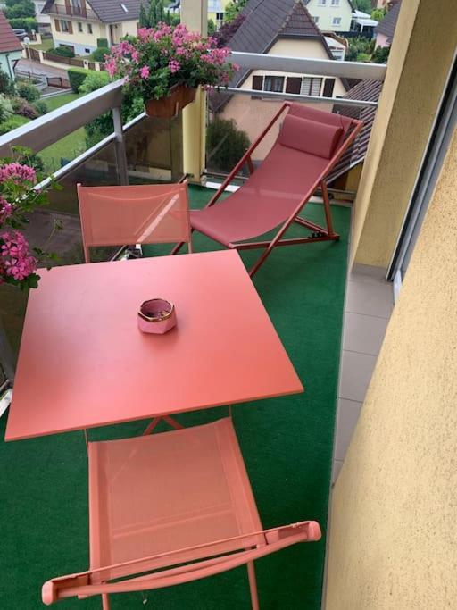 Charmant Appartement 2 Pieces Mundolsheim Exterior photo